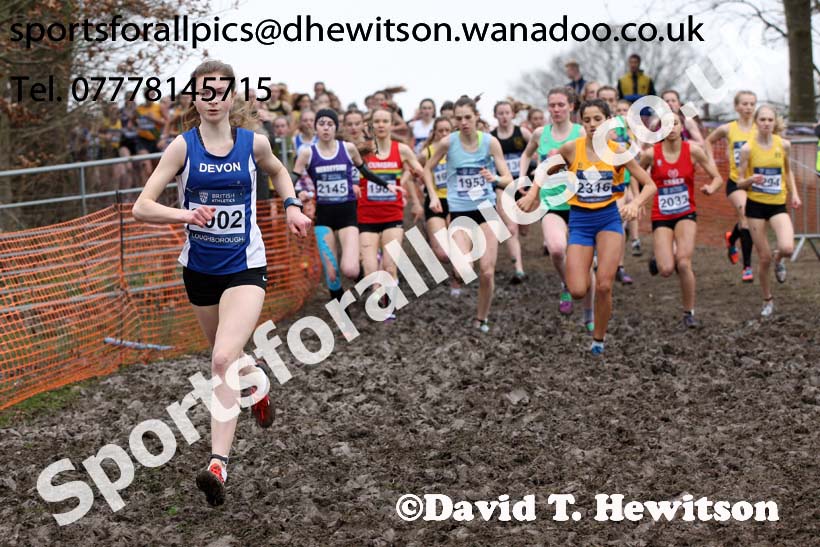 Womens under-17s Inter Counties Cross Country, Prestwold Hall, Loughborough. Photo: David T. Hewitson/Sports for All Pics